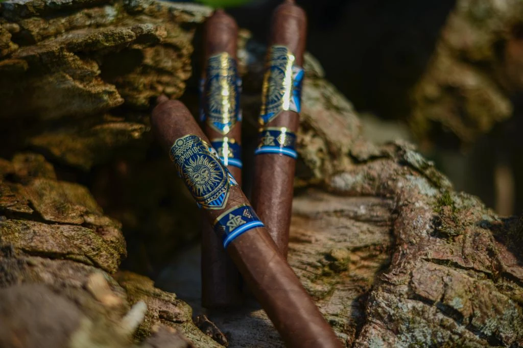 Three Primera Selección cigars resting together in weathered tree bark