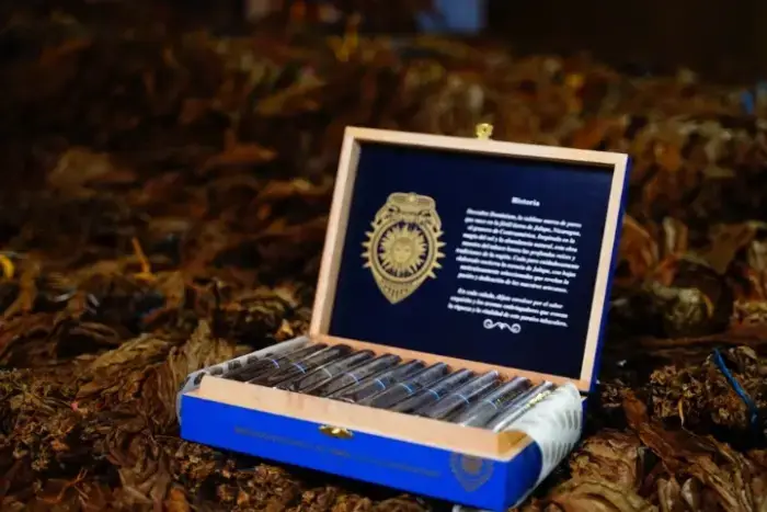 An open Dominium Primera box resting on loose tobacco leaves